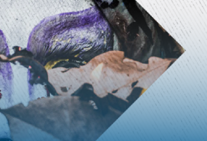 Header Centro Cultural